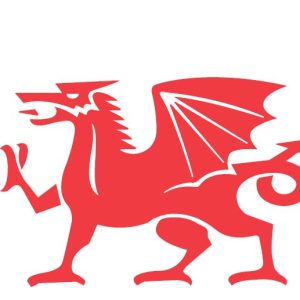 UMUK Relay Race